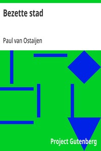 Cover of Bezette stad