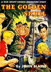 Cover of The Golden Skull: A Rick Brant Science-Adventure Story