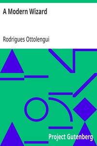 Cover of A Modern Wizard
