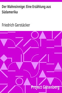 Cover of Der Wahnsinnige: Eine Erzählung aus Südamerika