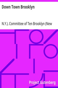 Cover of Down Town Brooklyn A Report to the Comptroller of the City of New York on Sites for Public Buildings and the Relocation of the Elevated Railroad Tracks now in Lower Fulton Street, Borough of Brooklyn