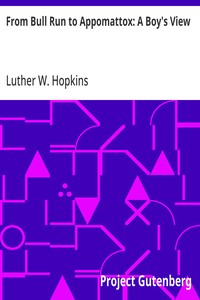 Cover of From Bull Run to Appomattox: A Boy's View