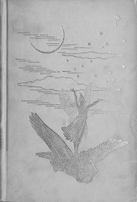 Cover of The Grey Fairy Book