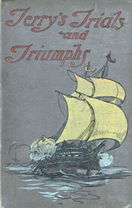 Cover of Terry's Trials and Triumphs