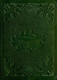 Cover of Little Robins Learning to Fly