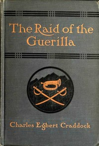 Cover of The raid of the guerilla, and other stories