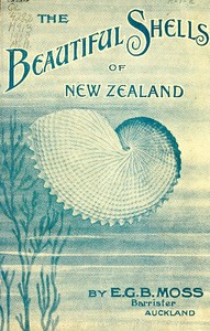 Cover of Beautiful Shells of New Zealand An Illustrated Work for Amateur Collectors of New Zealand Marine Shells, with Directions for Collecting and Cleaning them