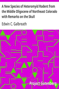 Cover of A New Species of Heteromyid Rodent from the Middle Oligocene of Northeast Colorado with Remarks on the Skull