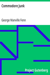 Cover of Commodore Junk