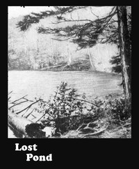 Cover of Lost Pond