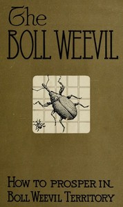 Cover of How to Prosper in Boll Weevil Territory