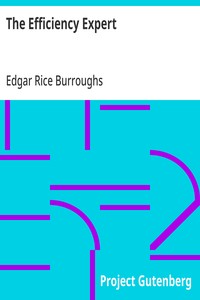 Cover of The Efficiency Expert