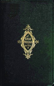 Cover of Great Mysteries and Little Plagues