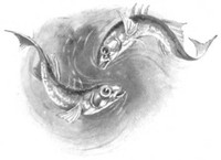Cover of Among the Pond People