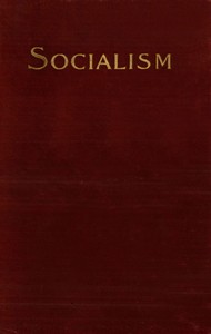 Cover of Socialism and the Social Movement in the 19th Century