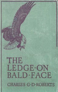Cover of The Ledge on Bald Face