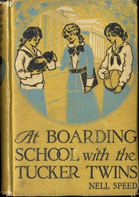 Cover of At Boarding School with the Tucker Twins