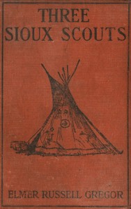 Cover of Three Sioux Scouts