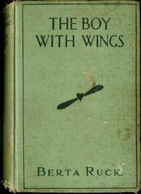 Cover of The Boy with Wings