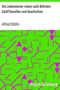 Cover of Die Lobensteiner reisen nach Böhmen: Zwölf Novellen und Geschichten