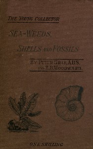 Cover of Sea-Weeds, Shells and Fossils