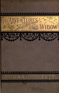Cover of The Adventures of a Widow: A Novel