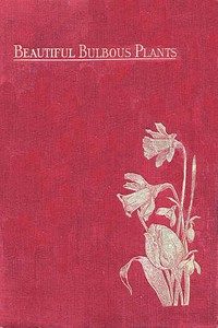 Cover of Beautiful Bulbous Plants for the Open Air