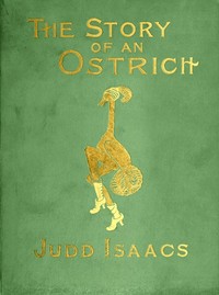 Cover of The Story of an Ostrich: An Allegory and Humorous Satire in Rhyme.