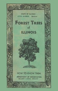 Cover of Forest Trees of Illinois: How to Know Them