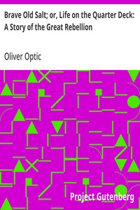 Cover of Brave Old Salt; or, Life on the Quarter Deck: A Story of the Great Rebellion