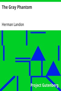 Cover of The Gray Phantom