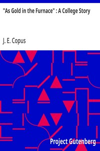 Cover of "As Gold in the Furnace" : A College Story