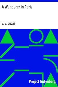 Cover of A Wanderer in Paris