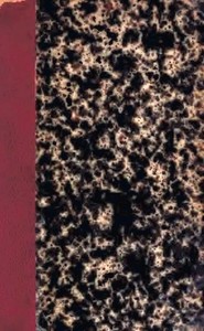 Cover of Lettres à Madame Viardot