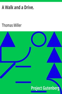 Cover of A Walk and a Drive.