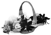 Cover of Practical Basketry