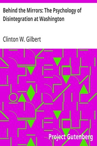 Cover of Behind the Mirrors: The Psychology of Disintegration at Washington