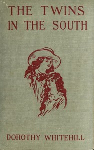 Cover of The twins in the South