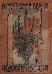 Cover of Our Flowering Shrubs, and How to Know Them