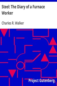 Cover of Steel: The Diary of a Furnace Worker