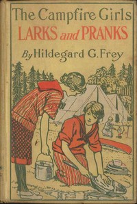 Cover of The Camp Fire Girls' Larks and Pranks; Or, The House of the Open Door