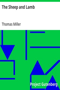 Cover of The Sheep and Lamb