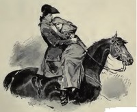 Cover of The red cockade