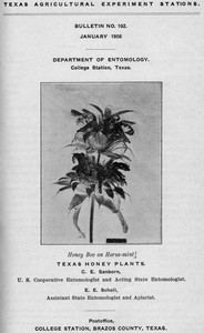 Cover of Texas Honey Plants