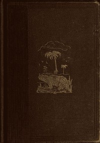 Cover of The World Before the Deluge