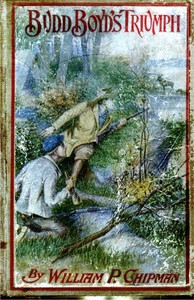 Cover of Budd Boyd's Triumph; or, The Boy-Firm of Fox Island
