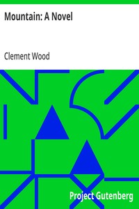Cover of Mountain: A Novel