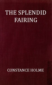 Cover of The Splendid Fairing