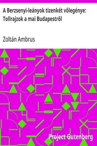 Cover of A Berzsenyi-leányok tizenkét vőlegénye: Tollrajzok a mai Budapestről
