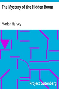 Cover of The Mystery of the Hidden Room